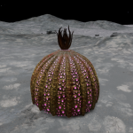 CMDR Alistair Hope, Anemone, 2MASS J02350854+6109233, 3 a