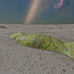 CMDR Fly34, Stratum Limaxus, Prua Phoe VO-W c3-25, 4 g