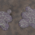 CMDR Kazahnn Drahnn, Stratum tectonicas, Heart Sector TY-R b4-1, A 2