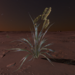 CMDR AmigatorBack, Tussock albata, Flyua Eork WO-Q b38-0, C 3