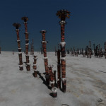 CMDR Dementos123, Tubus conifer, Seagull Sector FG-Y D13 AB 3 A