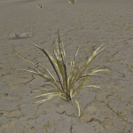 CMDR Fly34, Tussock albata, NGC 281 Sector DL-Y d15, 7 a