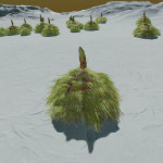 CMDR Banteay Srei, Tussock capillum, Col 89 Sector VO-Z d36, 7