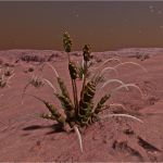 CMDR Fly34, Tussock caputus, Flyua Hypue DI-C b4-3, B 3