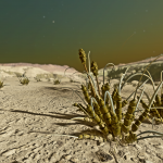 CMDR Francette, Tussock caputus, Flyooe Eohn VP-V d3-19 A 3 c