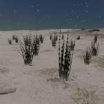 CMDR Banteay Srei, Tussock catena, Skaudai WB-G c26-15, 1 a