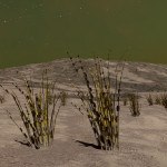 CMDR Hanna Hunter, Tussock catena, Skaudai CH-B d14-34, 4 d