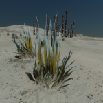 Fly34, Tussock ignis, Slegeae VB-J d10-8, 2 a