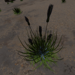 CMDR mearmortal, Tussock pennata, Eafots WI-Q c19-6, 1 a