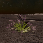 CMDR Tiberius Vaako, Tussock propagito, PRUE PHOE DQ-D c14, A 8