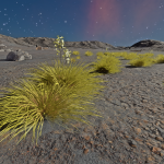 CMDR Fly34, Tussock stigmasis, Boewnst TG-J d10-2411, 5 e