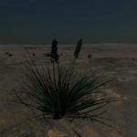 CMDR Tiberius Vaako, Tussock triticum, Hypoae AIN WA-F d11-35 B7