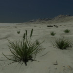 CMDR Tiberius Vaako, Tussock triticum, Hypoae AIN PG-K c22-5, 1