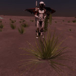 CMDR Jojo Lou, Tussock triticum, Smojooe IT-P b19-5, CDE 3