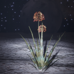 CMDR Mist0, Aleoida arcus, Scheau Prue XO-A f1304, A 1 a