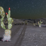 CMDR jojo Lou, Cactoida cortexum, Dryoea Flyi LE-E d13-86, 5 g