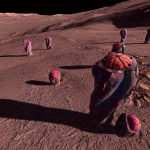 CMDR Hanna Hunter, Cactoida peperatis, Boewnst KS-S c20-921, D 3