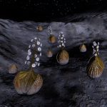 CMDR Alistair Hope, Concha biconcavis, Boewnst IM-U c19-393, 3 a