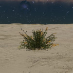 CMDR Banteay Srei, Frutexa fera, Boewnst XO-A d158, AB 1 a