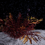 CMDR Mist0, Frutexa fera, Scheau Prue XO-A f846, A 1 f