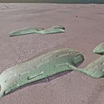 CMDR Fly34, Stratum cucumisis, Eoch Flyi DH-J d10-455, C 3 a