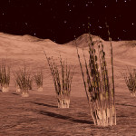 CMDR Hanna Hunter, Tussock catena, Boewnst KS-S c20-921, D 3