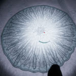 CMDR Quadmo, Bacterium Nebulus, Aucoks KK-H a92-4 (6)