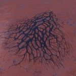 CMDR Fly34, Bacterium Omentum, Shrogeau SF-Q b46-40, B 2