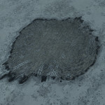 CMDR Banteay Srei, Bacterium Scopulum, Proo Phio FY-A b17-0