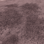 CMDR Fly34, Bacterium Tela, Eos Chruia JY-Y d1-106, DEF 2 b