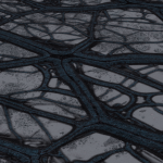 CMDR Mist0, Bacterium Verrata, Scheau Prue WO-A f773, B 3 b