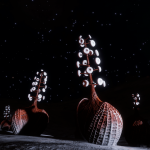 CMDR Mist0, Concha Biconcavis, Scheau Prue YE-Z e1153, 2 f