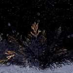 CMDR Mist0, Frutexa Fera, Byoomeae UN-K d8-288, 1 e