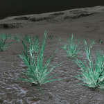 CMDR Fly34, Tussock serrati, Statue of Liberty Sector LC-V c2-13, B 3